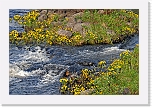 rentukat_may blobs * 3778 x 2524 * (11.81MB)